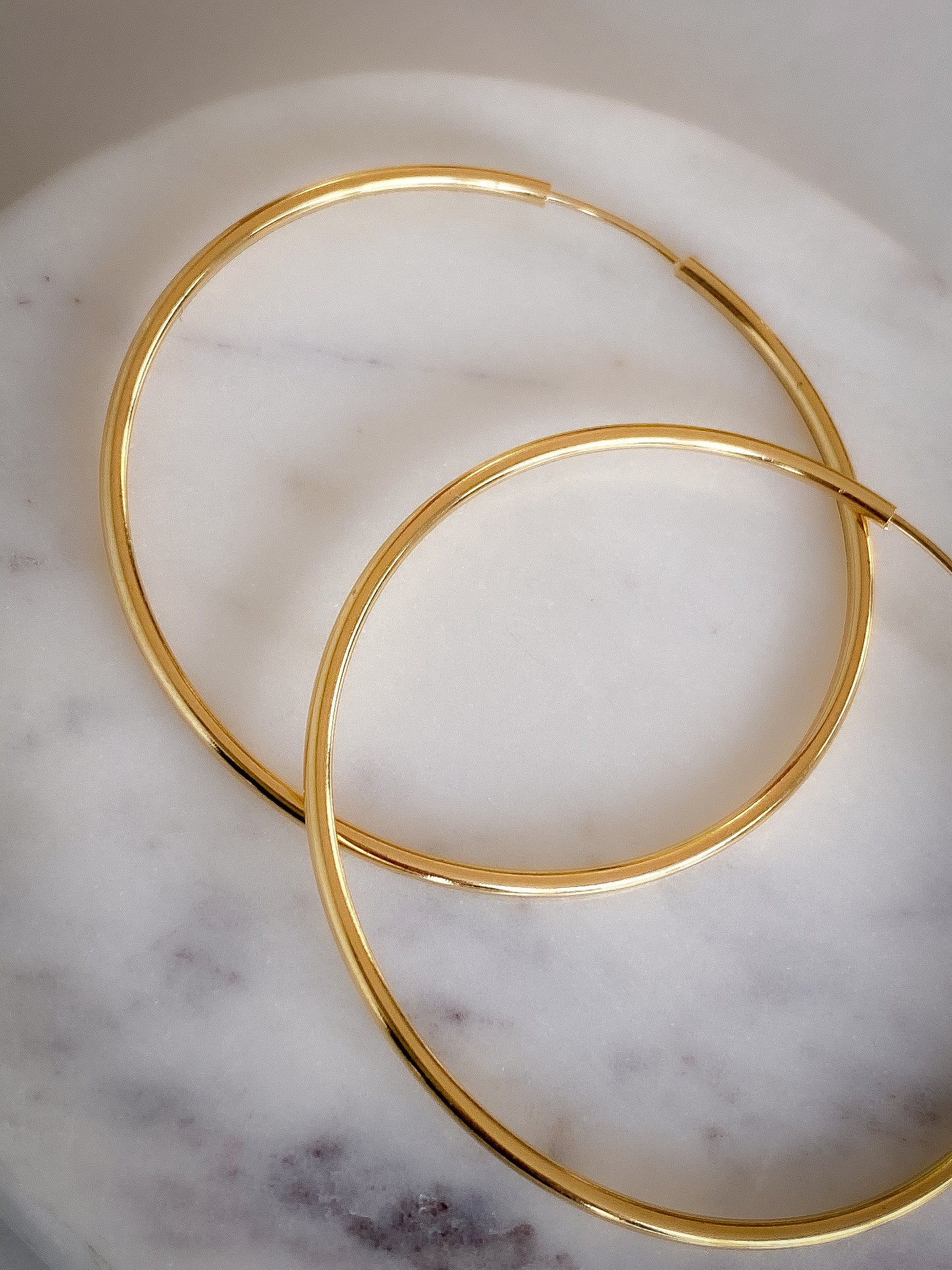 Golden Circle - Earrings